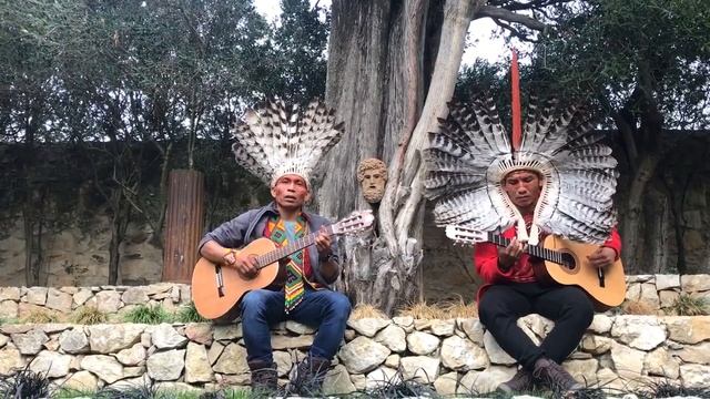 Ninawa and Nui Huni Kuin from Caucho (Acre Brasil) смотреть онлайн