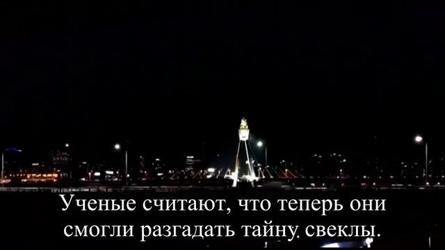 Свекольный сок поможет фигуре — Статья смотреть онлайн