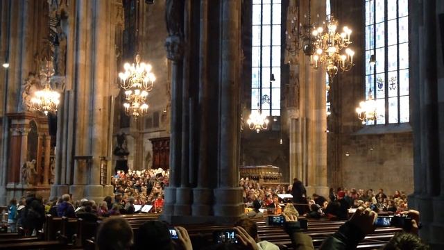 Репетиция в Stephansdom. Вена, 12.12.2013 смотреть онлайн