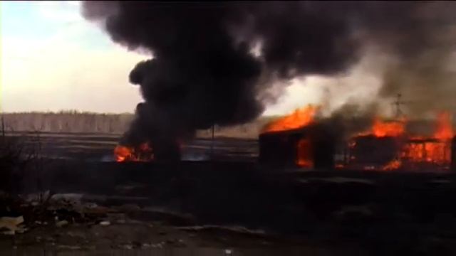 Травяные палы смотреть онлайн