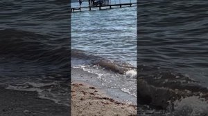 Влог отдых на черном море, отель Санпарко май Анапа.