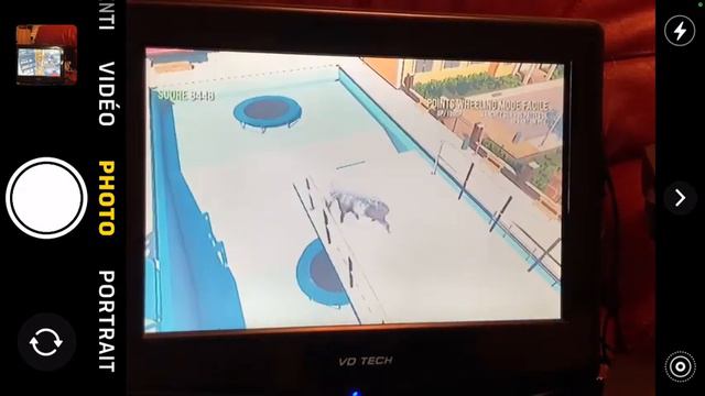 Goat Simulator PS3 salto world Record (7 salto and 8 whitout rec)￼ смотреть онлайн