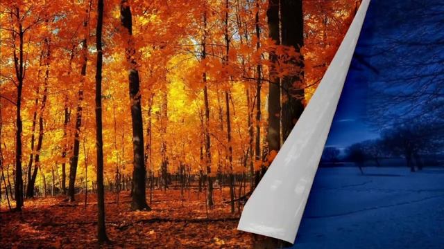 Н.М. Рубцов "Звезда полей". Луценко Вероника, 6Д смотреть онлайн