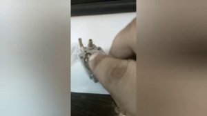 бензо триммер переливает карбюратор .