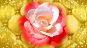 Футаж. Цветочный фон 125