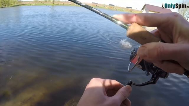 Ловля форели на платном водоеме «Парус-ЮГ». #OnlySpin смотреть онлайн