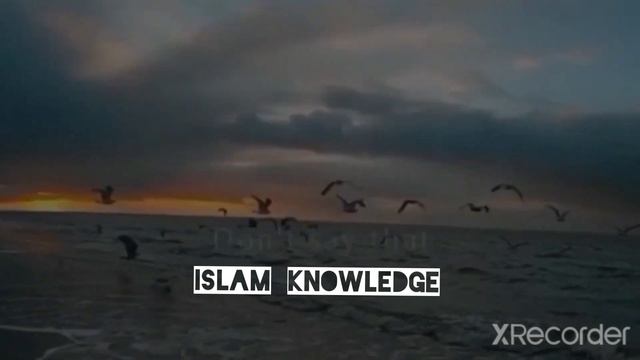 With whom is Allah? ll Mufti Menk ll Islam's Knowledge смотреть онлайн