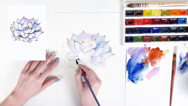 Botanical Illustration. Lesson 3. Succulent