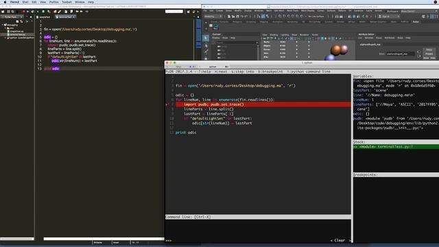 Python Debugging In Maya & Terminal смотреть онлайн