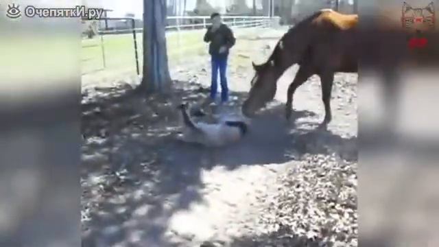 Слишком сильно чихнул смотреть онлайн