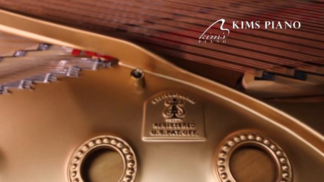 Steinway & Sons Model D - Chopin смотреть онлайн