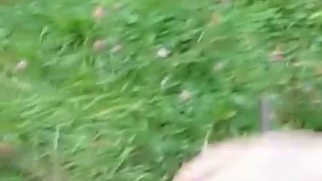 Учим Делать Искусно