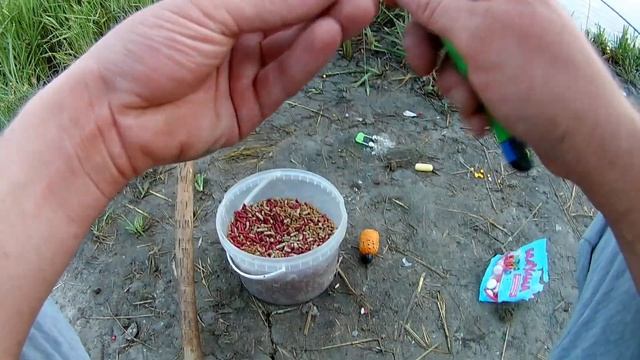 Сладкая насадка для ловли осенью карася леща и карпа,насадка на карася,Рыбалка в сентябре на карас смотреть онлайн