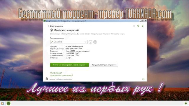 Dr.Web Security Space 12.0.0.12140 (Ru/Ml) смотреть онлайн