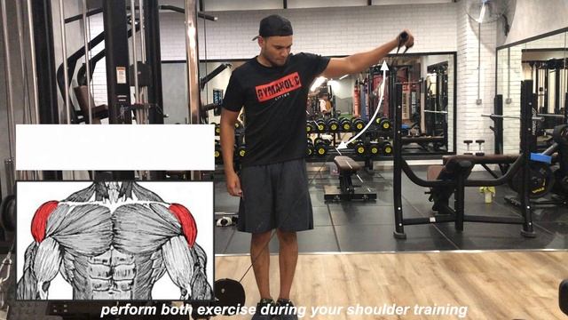 How To Get WIDER Shoulders | CHARLES SURIYA смотреть онлайн