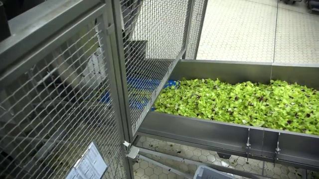 Belaya Dacha Salads смотреть онлайн