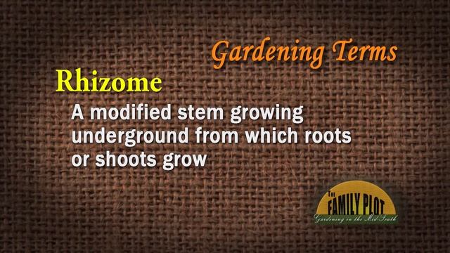 Rhizome – Garden Glossary смотреть онлайн