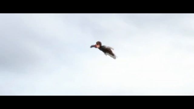 [Краткий отзыв] - Как приручить дракона 2 смотреть онлайн