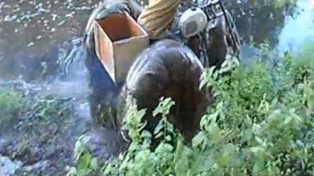 Пневмоход Алга - 227 ! смотреть онлайн