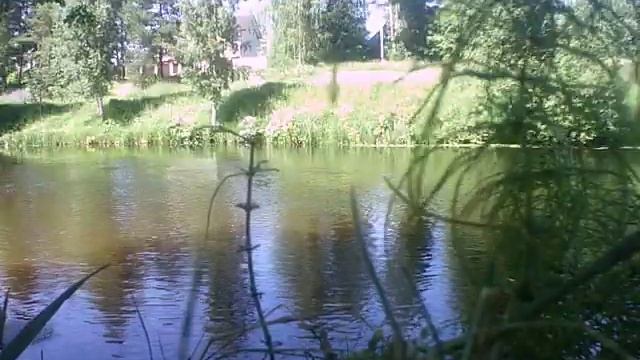 Река Оредеж в Вырица часть 44 смотреть онлайн