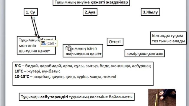 ҰБТ Биология 6 сынып Тұқымның құрылысы, өнуі