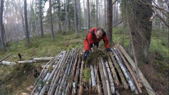 Дом в каждый лес. Ночевка в самодельном укрытии. смотреть онлайн