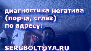 если птица стучит в окно  - какая примета и что делать (воробей, голубь и прочие птицы)
