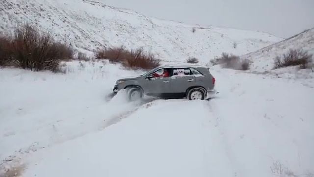 21 ноября 2016 г.