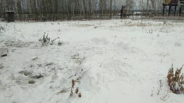 Дачный Сезон 2022 официально закрыт ! смотреть онлайн