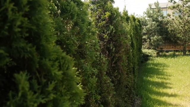 Для чего нужны электроножницы и высоторез на дачном участке? смотреть онлайн