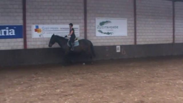 Manege op de Berg les op de dinsdagmorgen deel 5 смотреть онлайн