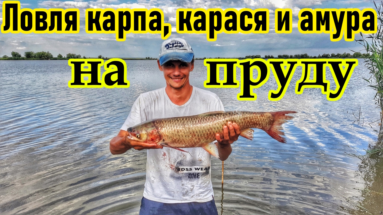 РЫБАЛКА НА КАРПА/ЛОВЛЯ КАРПА, КАРАСЯ И ТРОФЕЙНОГО АМУРА/ ПЛАТНЫЕ ОЗЁРА/РЫБАЛКА НА ПЛАТНИКЕ/САМАРА смотреть онлайн