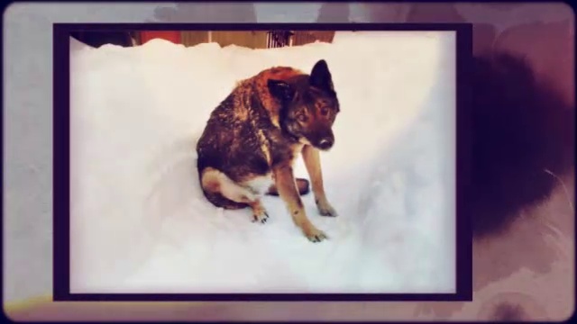 Калейдоскоп брызг чернильницы. Видео из фото. смотреть онлайн