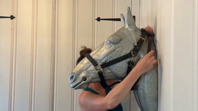 Using a Neck Strap to Keep Houdini Horses in their Halter смотреть онлайн