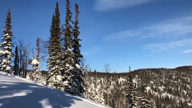 Приисковый 15.01.2019 смотреть онлайн