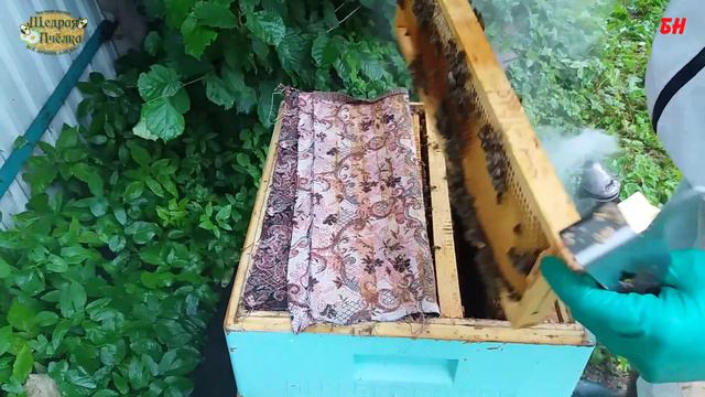 пчеловодство, ограничиваю работу матки смотреть онлайн