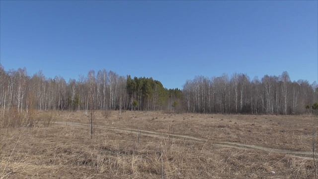 Лечение сердца 1 часть Настрой