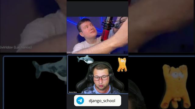 Какая команда разработчиков лучше смотреть онлайн