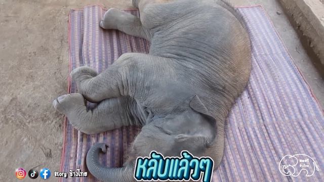 สตอรี่น้องจูเนียร์ 1 เดือน ตอนที่ 5 พ่อไม่อยู่ หนูกล่อมตัวเองหลับก็ได้ สตอรี่จูเนียร์ Ep.5 смотреть онлайн