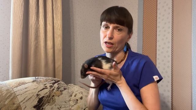 Крыса подавилась. Что делать? Что случилось с Савочкой(( смотреть онлайн