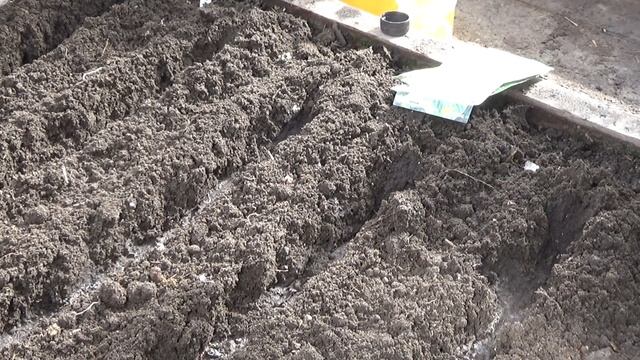 20 марта - первый посев капусты. смотреть онлайн