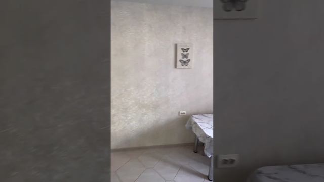 Видео обзор двухкомнатной квартиры в микрорайоне Боровое смотреть онлайн