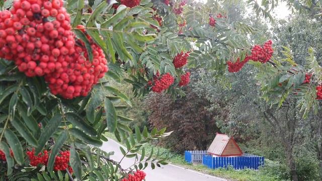 #источники живой и мёртвой #воды #силародарурс смотреть онлайн