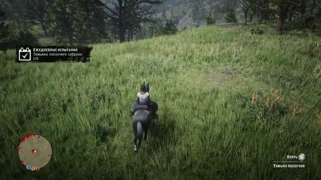 Тимьяна ползучего собрано:0/5? смотреть онлайн