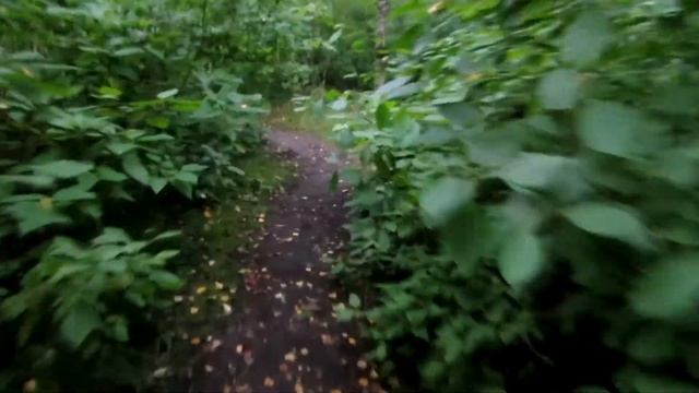 +Вызов Духов+ | Демон Леса (1.На лесной поляне.2....Это капец...) смотреть онлайн