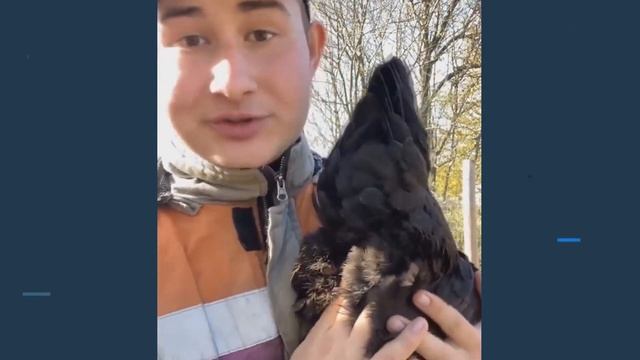 Как не засмеяться | Приколы Ноябрь 2021 смотреть онлайн