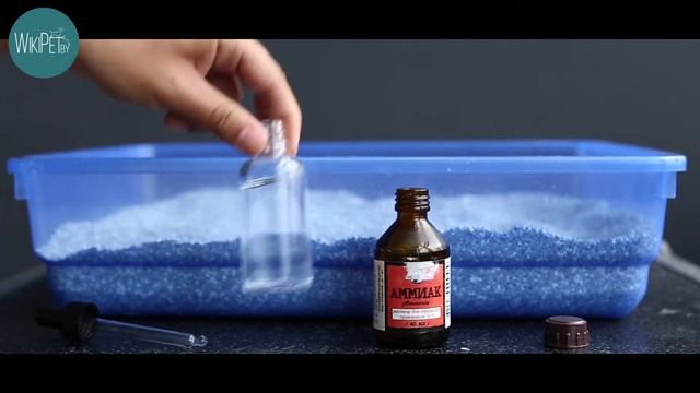 Наполнитель для кошачьего туалета Ever Clean смотреть онлайн