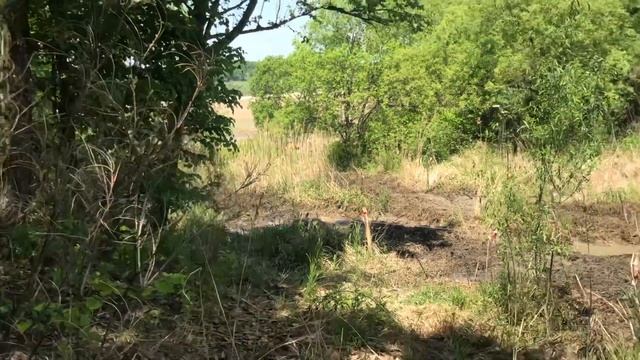 Экстремай 2019 (день второй) смотреть онлайн