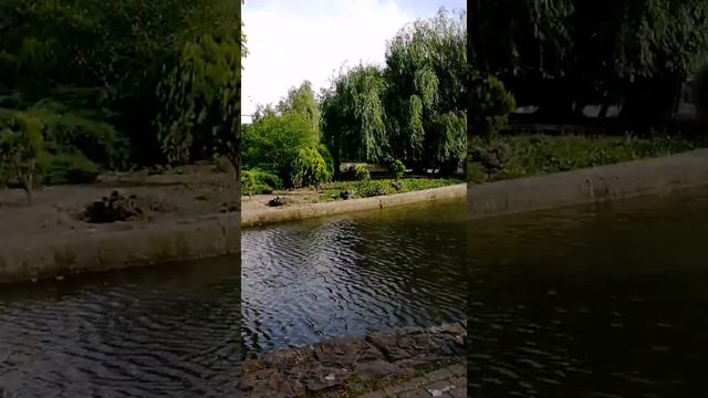 Краснодар. Гор. Парк. смотреть онлайн