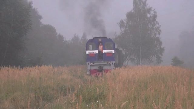 Маневровый тепловоз ТГМ6А-2398 смотреть онлайн